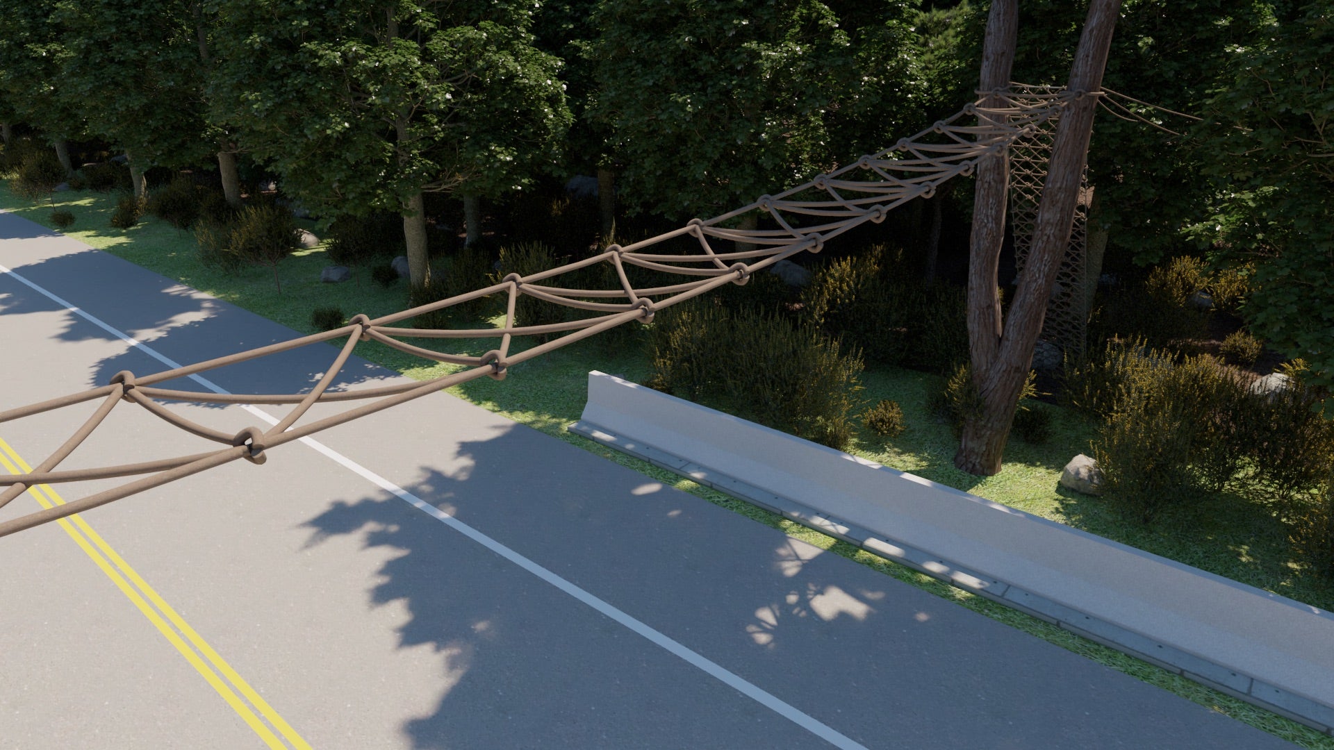 Rain Forest Canopy Bridges Aid Slow Lorises, Gibbons and Other